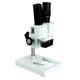 XTX1 Stereo Microscope